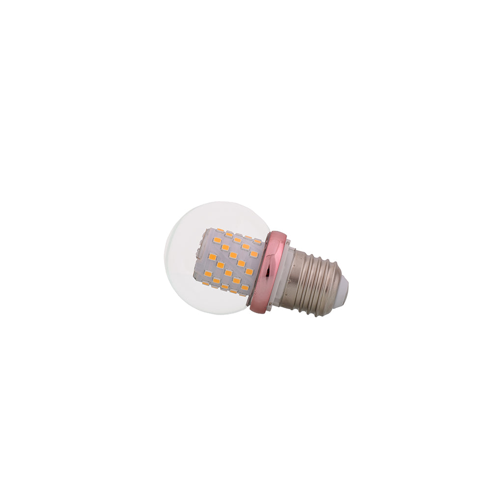 Round Glass LED Bulb 5 Watt Warm White E27