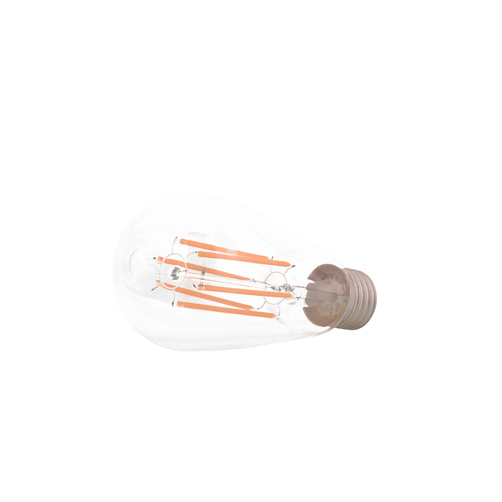 6 Watt LED Filament Edison Bulb