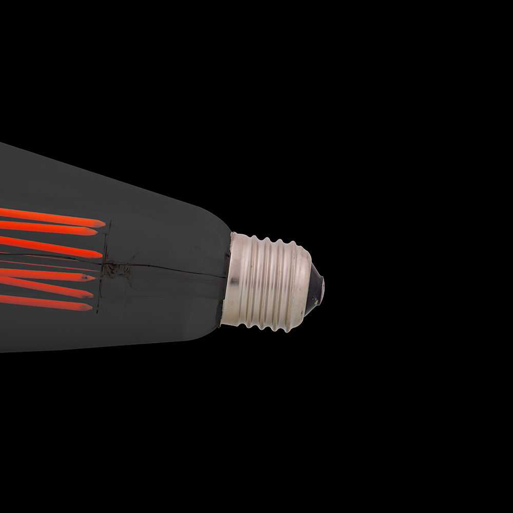 6 Watt LED Filament Edison Bulb