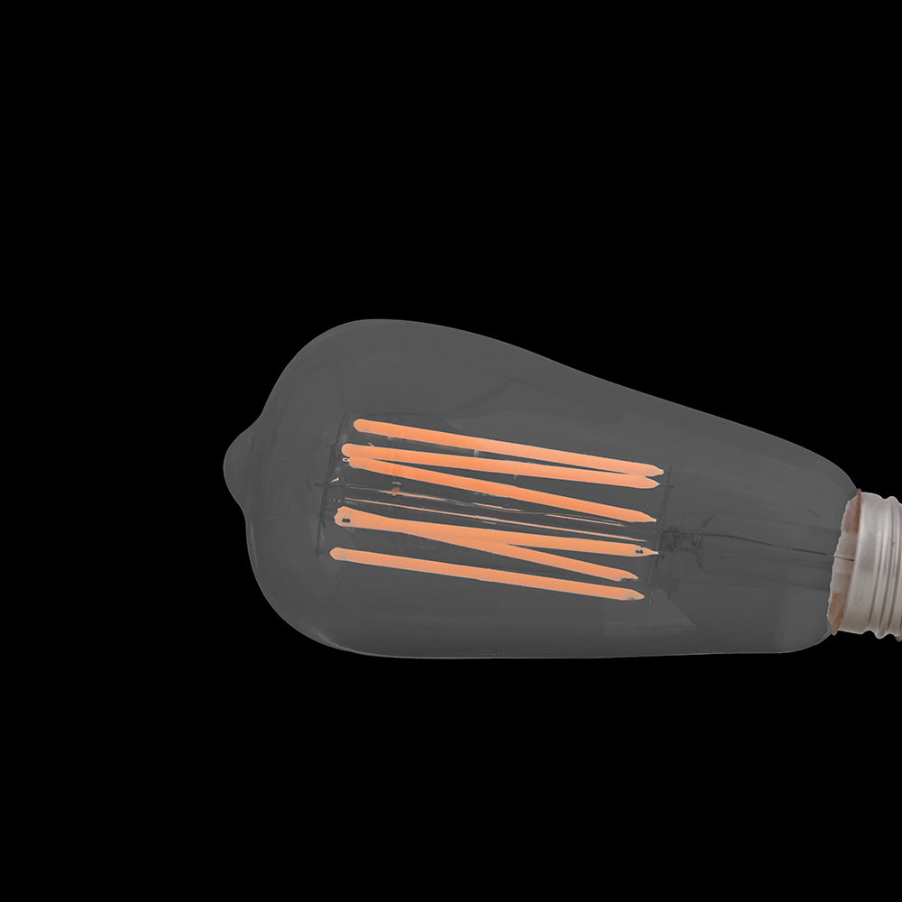 6 Watt LED Filament Edison Bulb