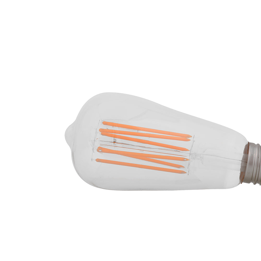 6 Watt LED Filament Edison Bulb