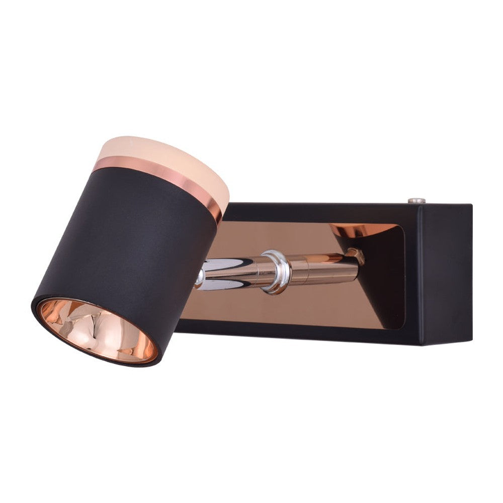 Young House Mirror or Picture Light