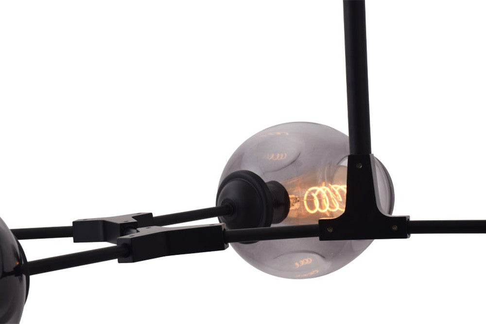 Modern Chandelier 5 Light Black with Tinted Glass Shades