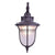 Homecoming Wall Light