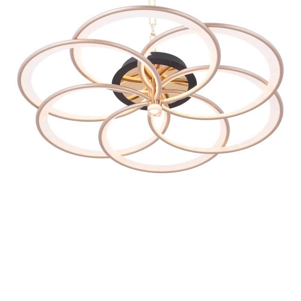 Settling In Ceiling Light