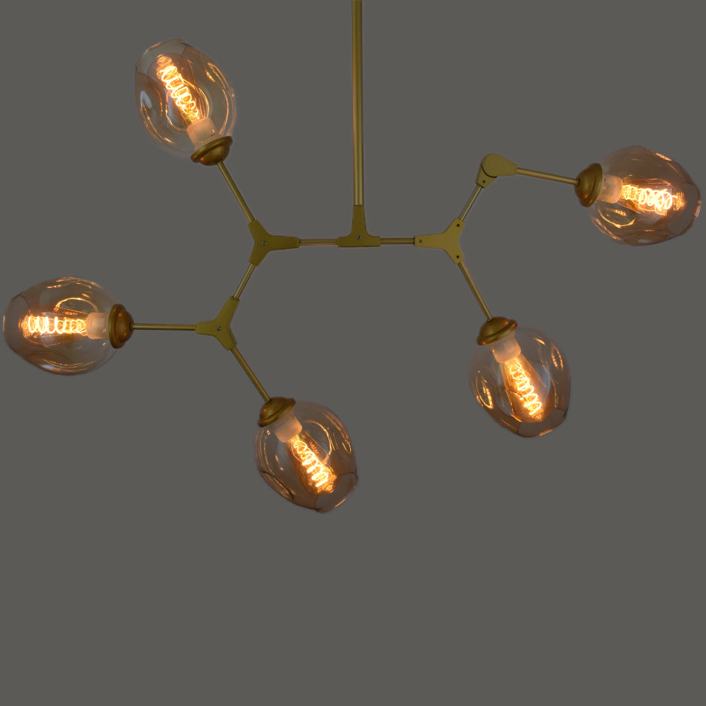 Modern Chandelier 5 Light Gold with Tinted Glass Shades