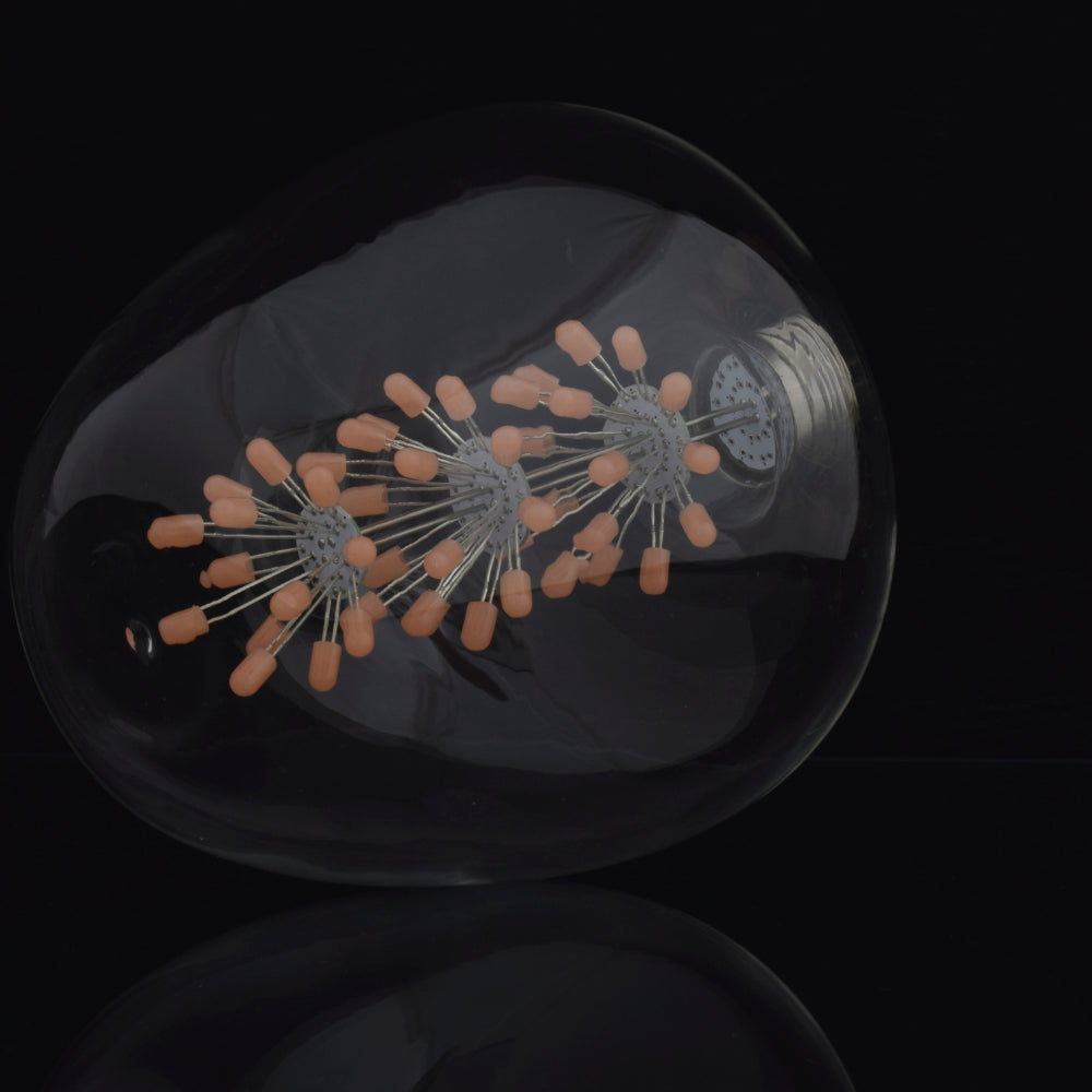 Apple Shaped Decorative 8 watt LED Bulb (Warm White)