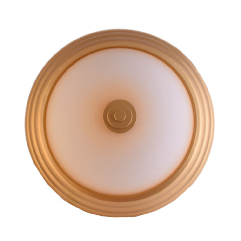 LED Decorative Ceiling Light with Glass Shade 2 in 1 Colour 20 watt-Starry Night