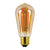 8 Watt LED Filament Edison Bulb-Starry Night