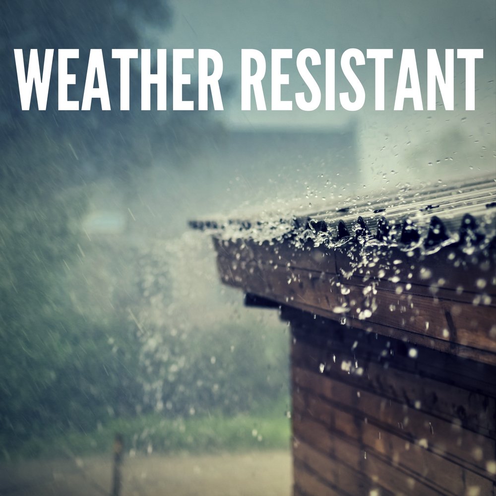 Indoor/Outdoor Classic Black Wall Light