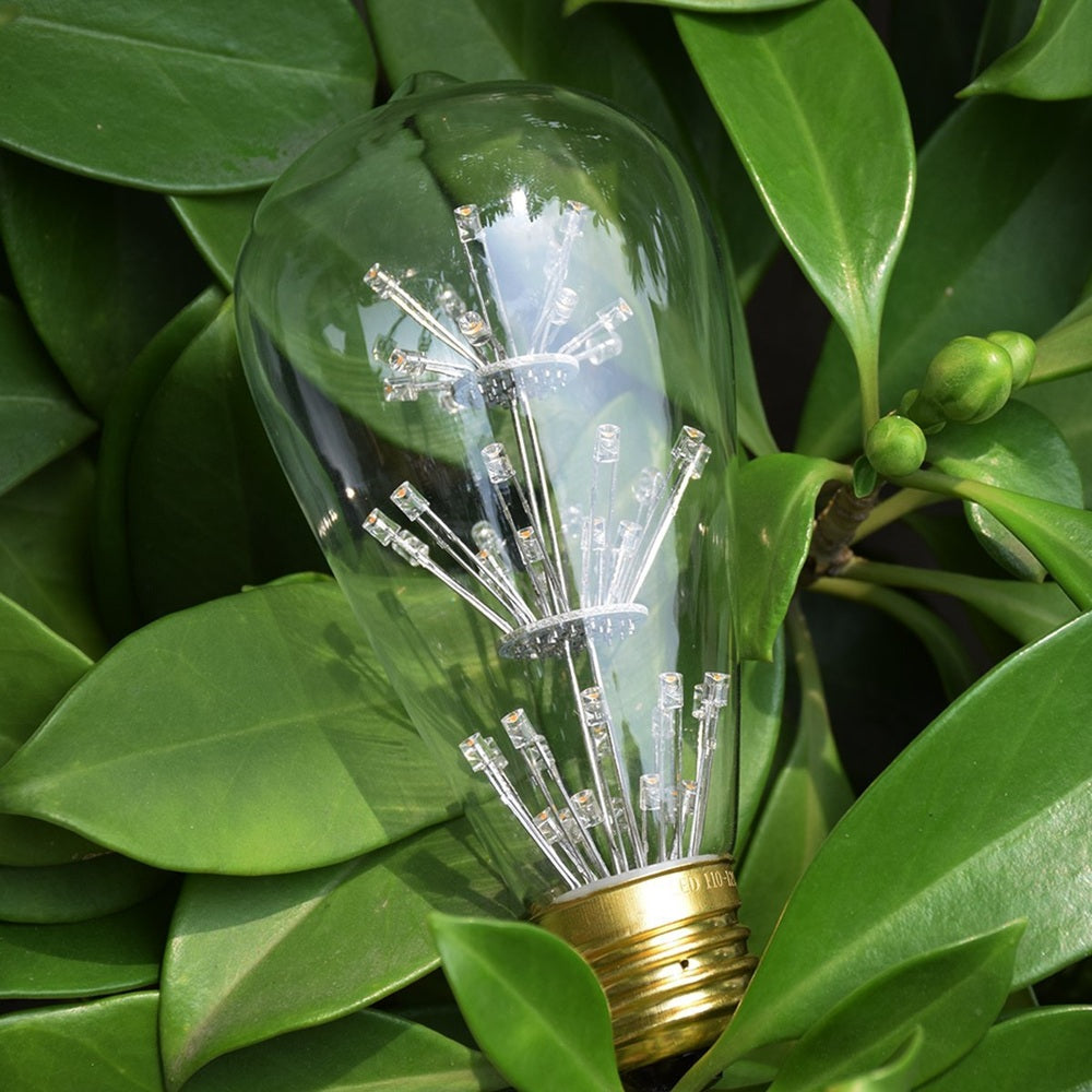LED Warm White Decorative Edison Bulb-Starry Night