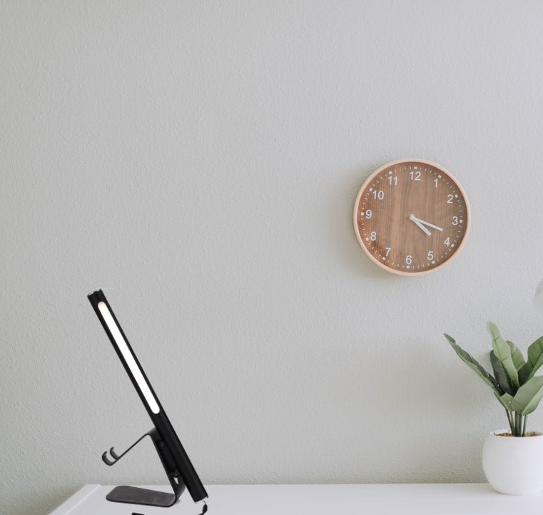 LED Portable Reading Light 4 Watts Rechargeable