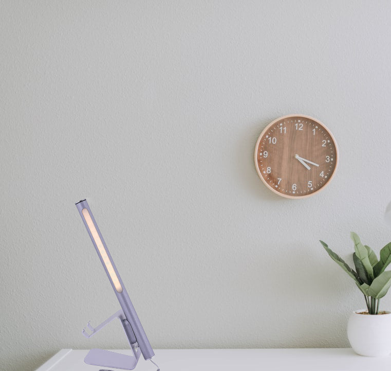 LED Portable Reading Light 4 Watts Rechargeable