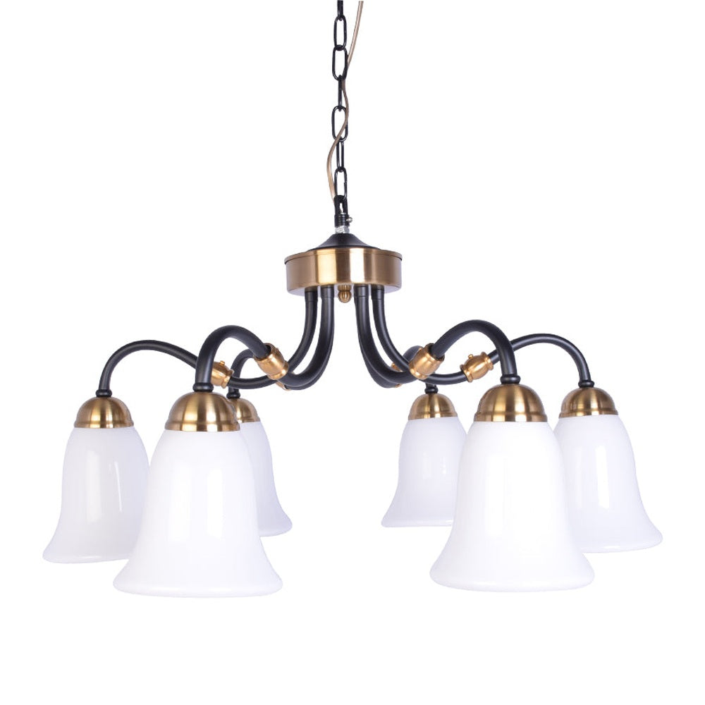 Black Downlight Chandelier With 6 White Glass-Starry Night