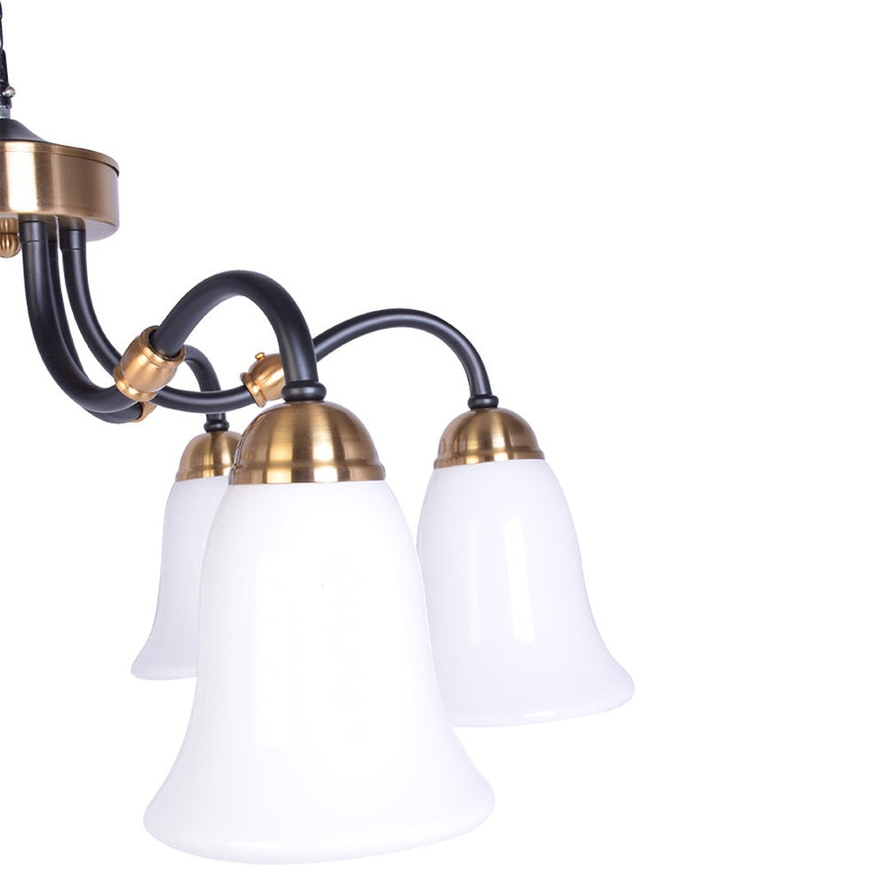 Black Downlight Chandelier With 6 White Glass-Starry Night