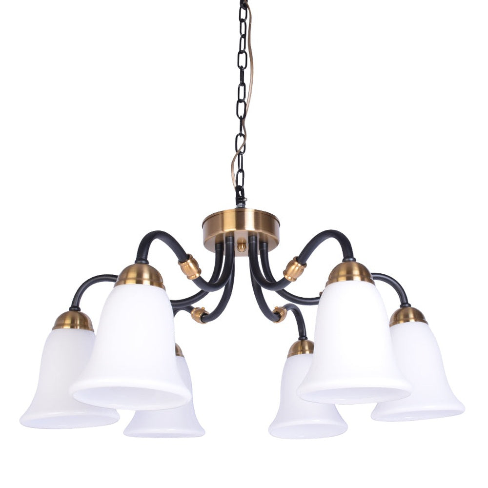 Black Downlight Chandelier With 6 White Glass-Starry Night