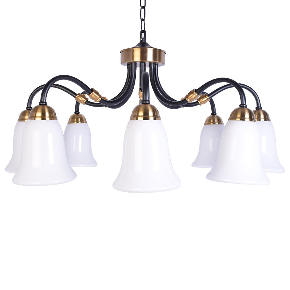 Black Downlight Chandelier With 8 White Glass-Starry Night