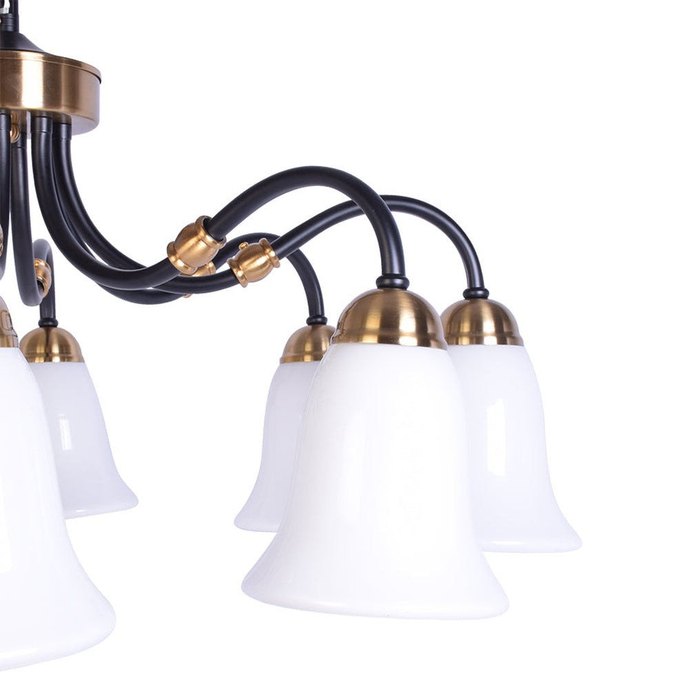 Black Downlight Chandelier With 8 White Glass-Starry Night