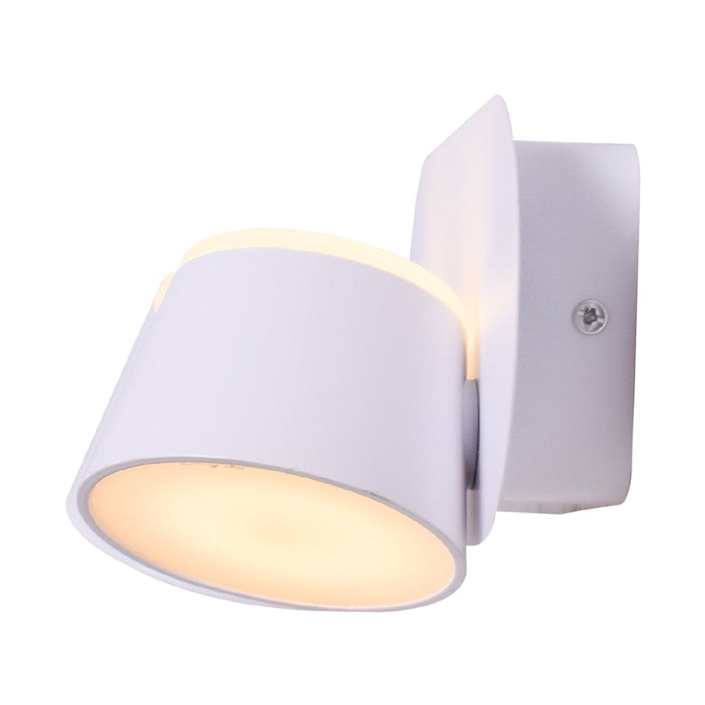 Adjustable LED Wall Spot Light