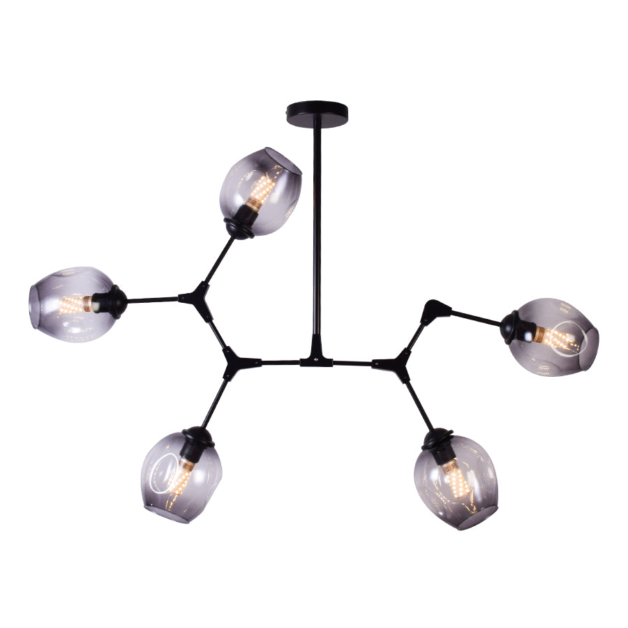 Modern Chandelier 5 Light Black with Tinted Glass Shades