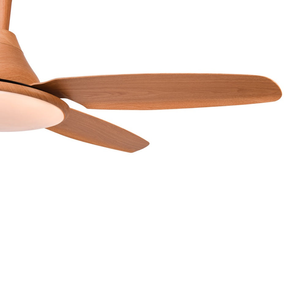 Everest Ceiling Fan with LED